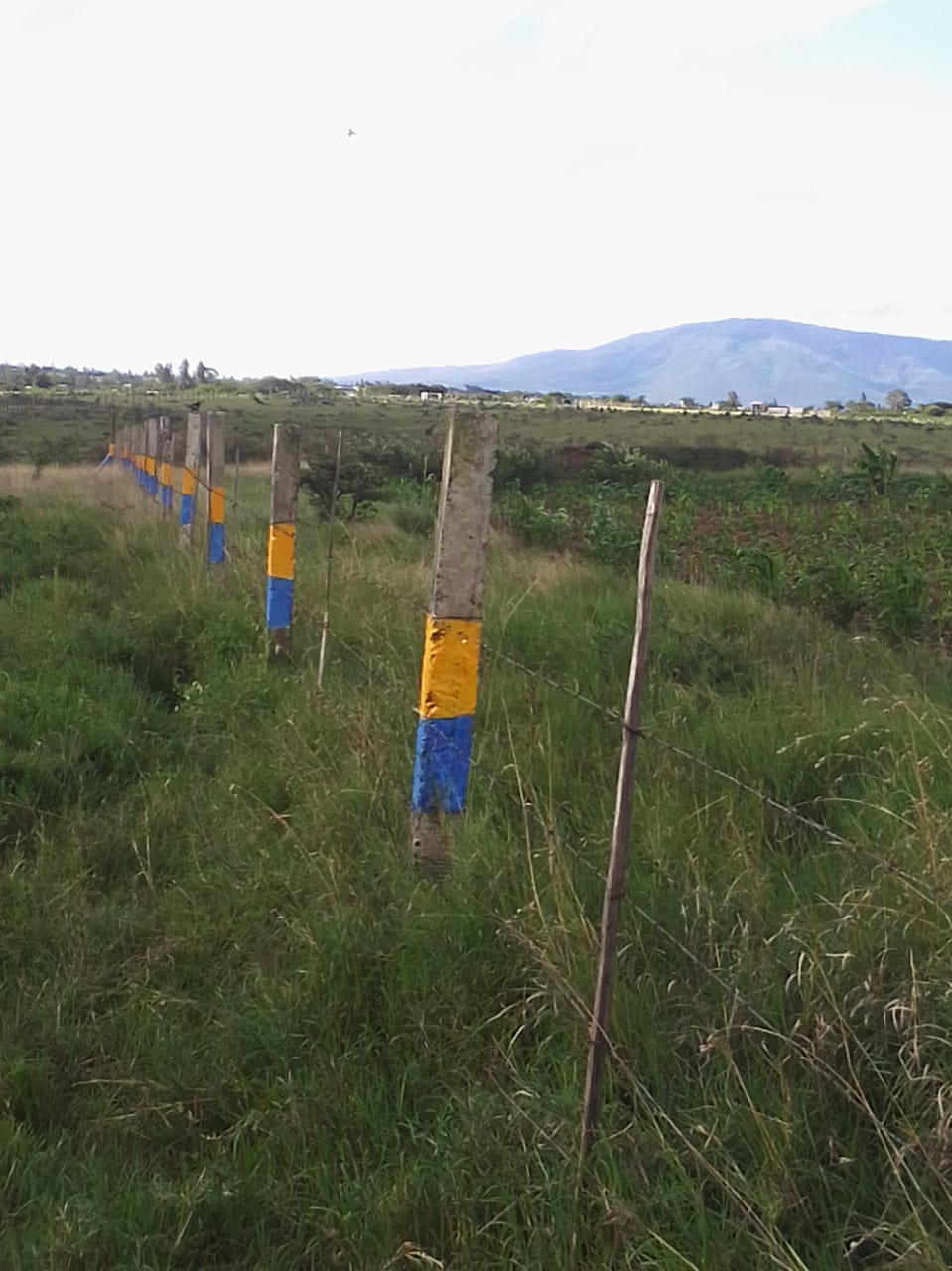 KANGUNDO ROAD PLOTS