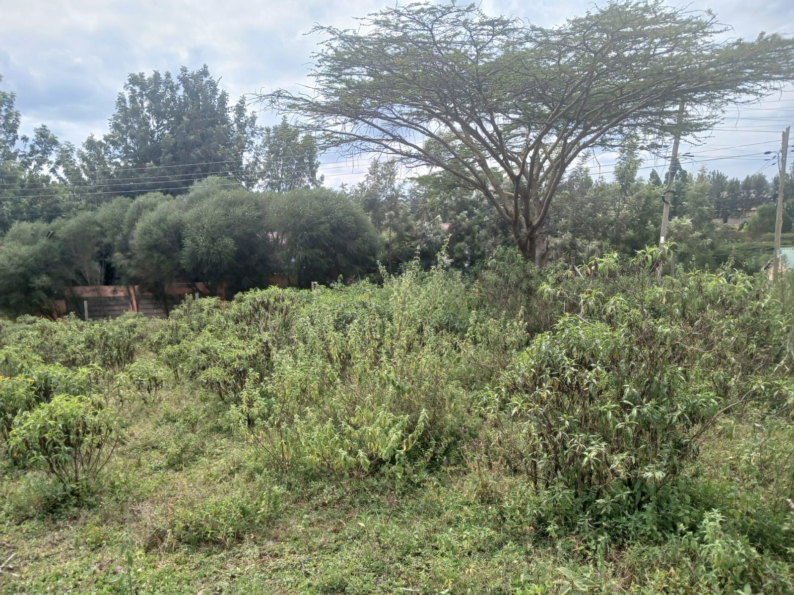 LAND AT ONGATA RONGAI